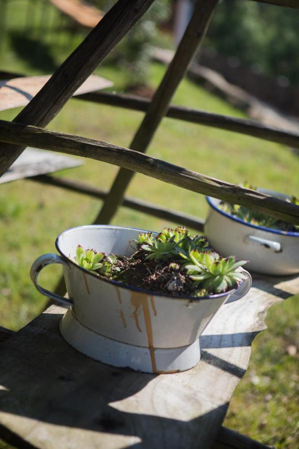 Kaffeehaus Blaslhoehe Lam Buitenkant foto